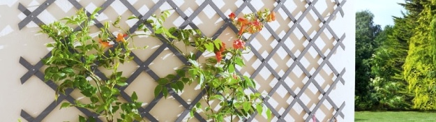 Treláže s rostoucí vegetací