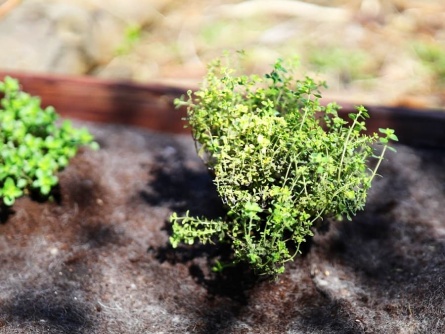 Fibio EKO W 200-400g