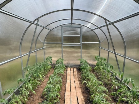 KYKLOP2, PC 4 mm, 3×8 m