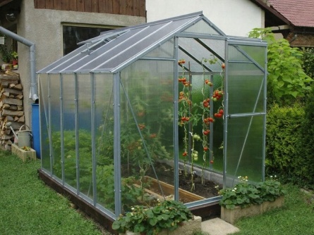 LIMES Viva V6 PC 4 mm