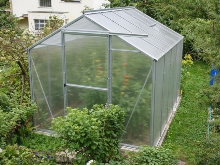 LIMES Viva V6 PC 6 mm