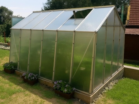 LIMES Viva V7 PC 4 mm