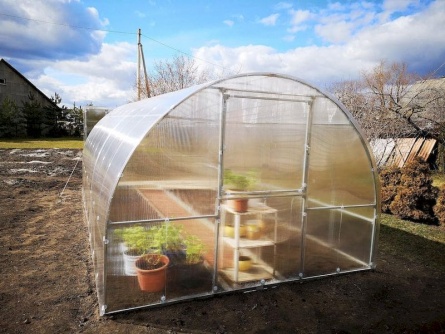 Marcus 3×6 m PC 8 mm