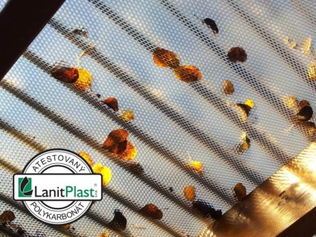 Marlon CSE Diamond VL 76/18