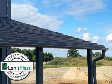 Marlon CSE DIAMOND Z-TOP