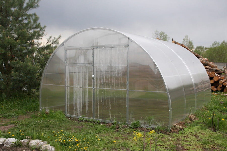 GEOMAT Obloukový skleník z polykarbonátu DODO 400, 4 × 4 m, tl. polykarbonátu 8 mm
