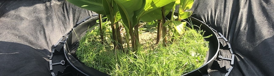 Plastový obrubník okolo kruhové výsadby rostlin