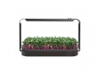 Sada pro microgreens Urban Microgreens LED Set