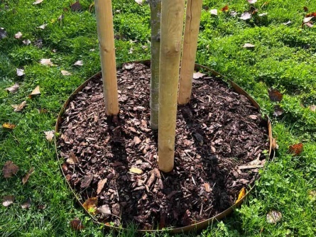 Steel Border Corten S 1,5/100 (1,5 mm)