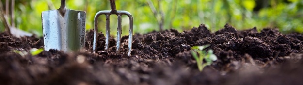 Zahradní substráty pro pěstování vegetace