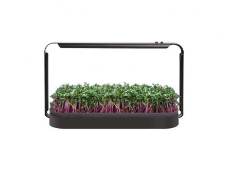 Urban Microgreens LED Set
