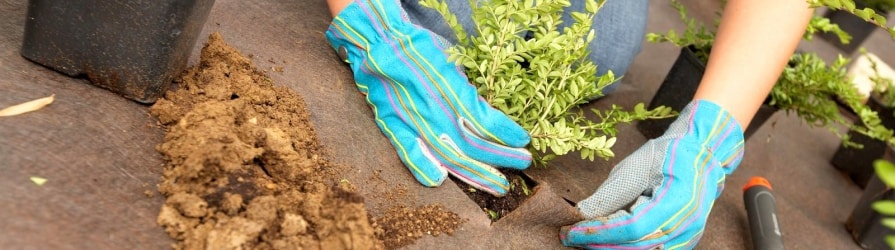 Zahradní textilie použitá při výsadbě rostlin