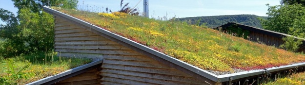 Zelená střecha s mírným sklonem na rodinném domě